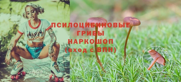индика Балабаново