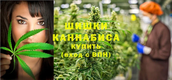 apvp Белокуриха