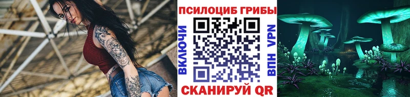 Псилоцибиновые грибы Psilocybe Заинск