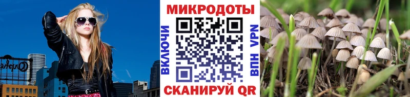 kraken зеркало Заинск Галлюциногенные грибы Magic Shrooms